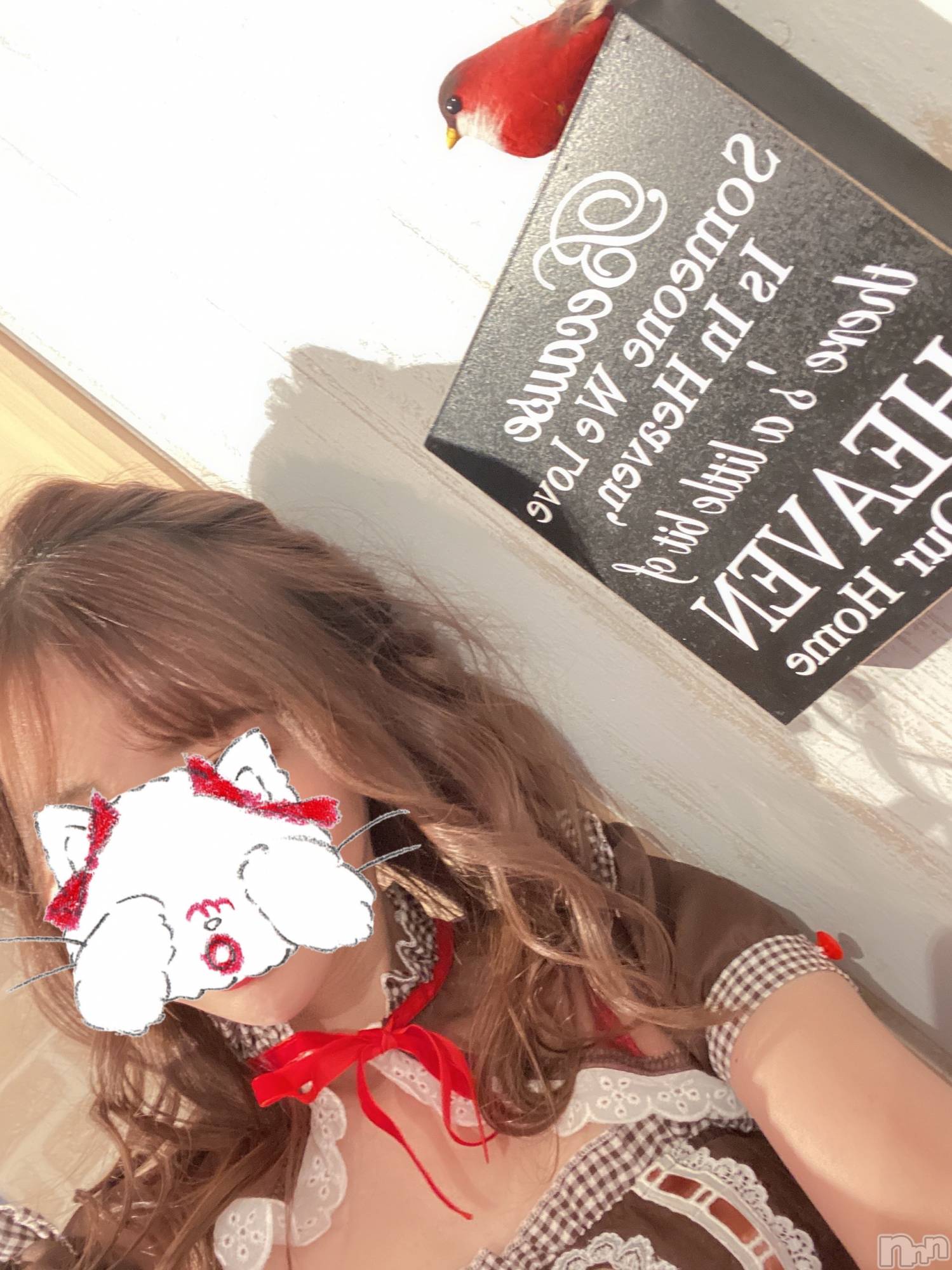 新潟人妻デリヘルLOVE AFFAIR～秘密のデート(ラブアフェア～ヒミツノデート)美雪さん【♪♪♪】(35)の2022年2月18日写メブログ「本日もよろしくお願いします‎ ૮ ⸝⸝>  ·̫ < ⸝⸝ ︎ა*.+ﾟ」