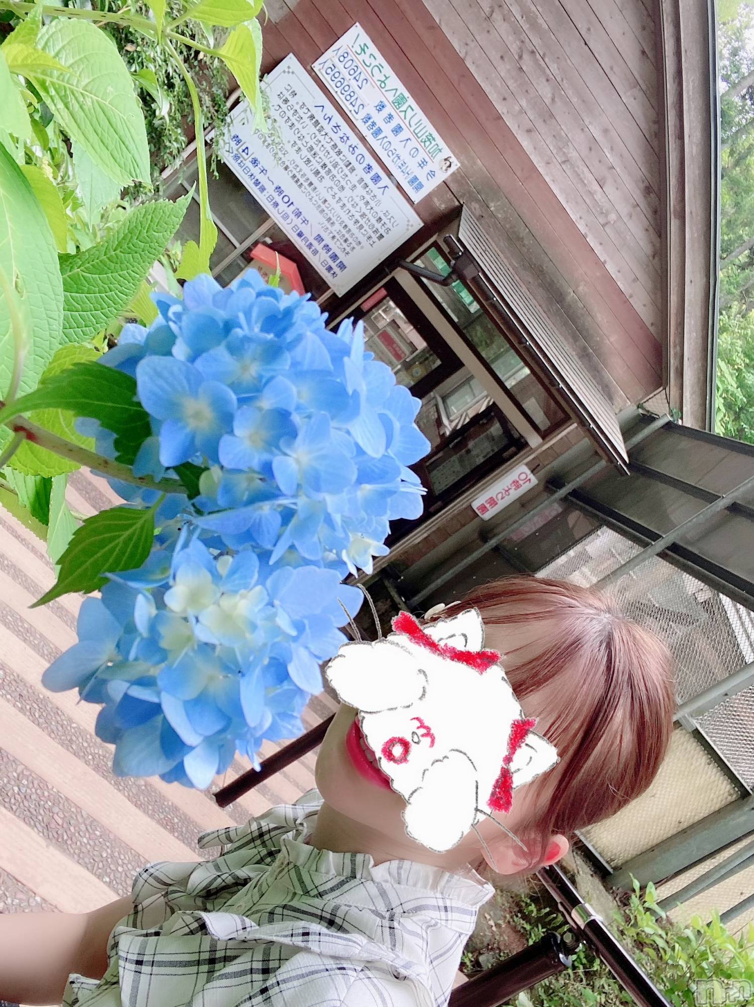 新潟人妻デリヘルLOVE AFFAIR～秘密のデート(ラブアフェア～ヒミツノデート)美雪さん【♪♪♪】(35)の2022年6月17日写メブログ「ナイトナビの担当さん⸜( ◜࿁◝ )⸝︎ ︎♡」