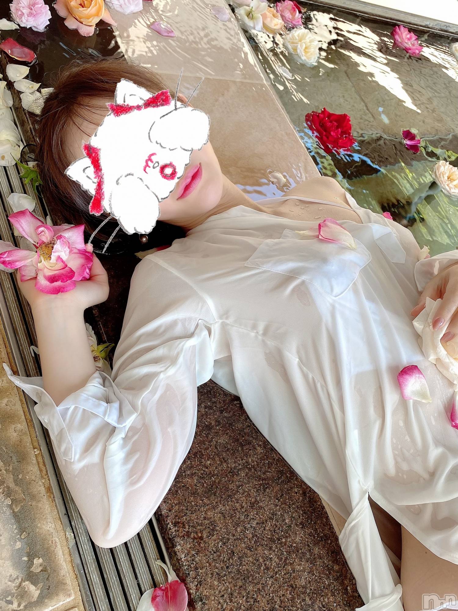 新潟人妻デリヘルLOVE AFFAIR～秘密のデート(ラブアフェア～ヒミツノデート)美雪さん【♪♪♪】(35)の2022年6月19日写メブログ「本日も満員ありがとうございます( ˶ ᷇ 𖥦 ᷆ ˵ )♡*.+ﾟ」