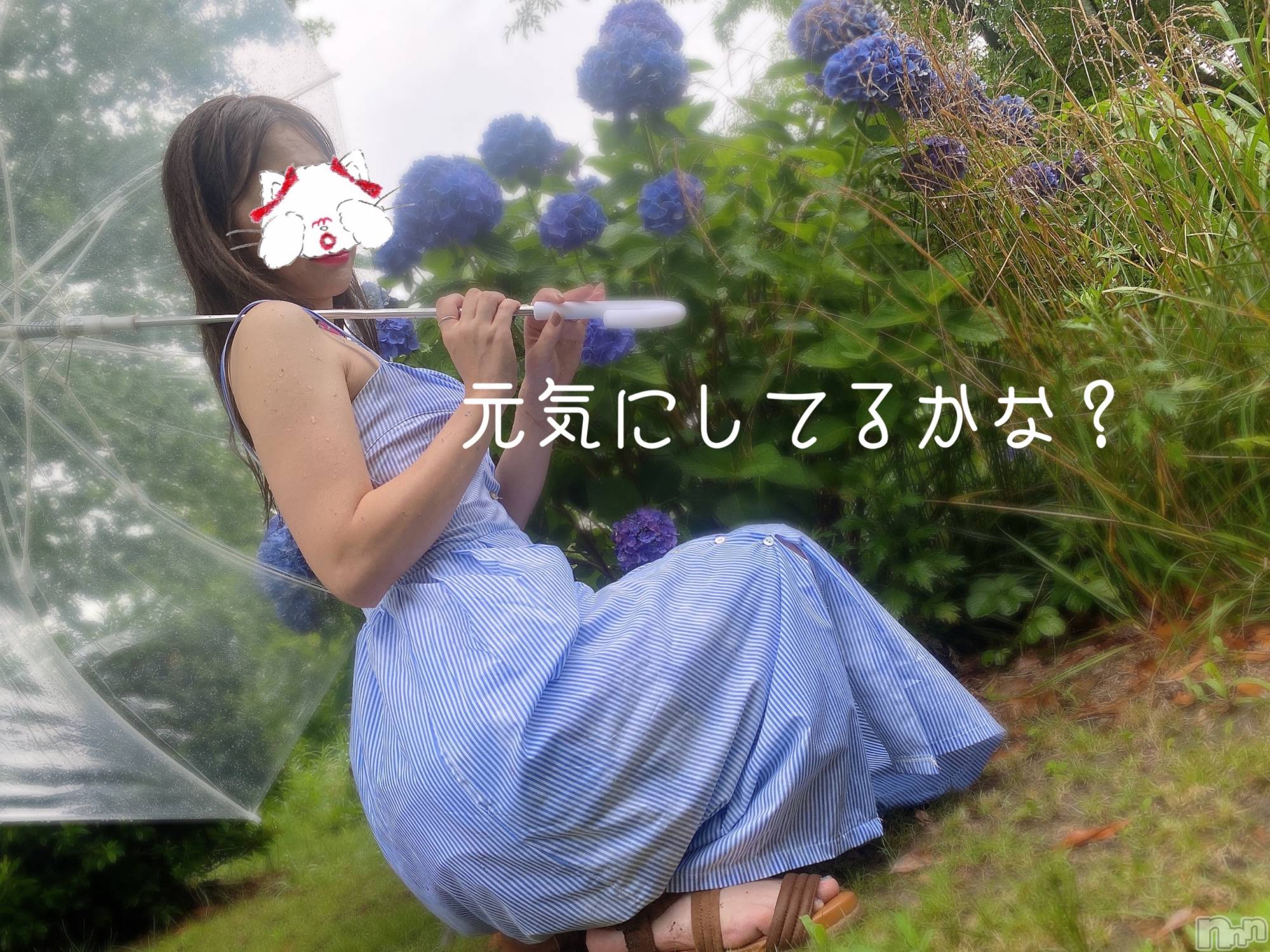 新潟人妻デリヘルLOVE AFFAIR～秘密のデート(ラブアフェア～ヒミツノデート)美雪さん【♪♪♪】(35)の2022年7月22日写メブログ「お問い合わせ…♡*.+ﾟ」