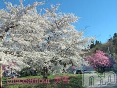 新潟デリヘルLOVE AFFAIR～秘密のデート(ラブアフェア～ヒミツノデート) 美雪さん【♪♪♪】(35)の4月18日写メブログ「頑張ってみよう」