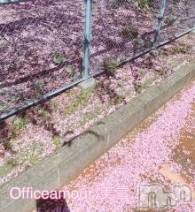 新潟デリヘルLOVE AFFAIR～秘密のデート(ラブアフェア～ヒミツノデート) 美雪さん【♪♪♪】(35)の4月21日写メブログ「本当にすみませんでした。」