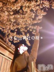 新潟人妻デリヘルLOVE AFFAIR～秘密のデート(ラブアフェア～ヒミツノデート) 美雪さん【♪♪♪】(35)の4月9日写メブログ「今年初めて桜見たよ～‎(◍˃ ᵕ ˂◍)♡𓈒 𓏸𓈒𓂂𓂃♡」