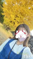 新潟デリヘルLOVE AFFAIR～秘密のデート(ラブアフェア～ヒミツノデート) 美雪さん【♪♪♪】(35)の11月15日写メブログ「弥彦に行ったらまずは…🌻💛🐱🐥🌼🌟🍋🧀🏵📒✏️」