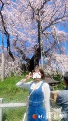 新潟デリヘルLOVE AFFAIR～秘密のデート(ラブアフェア～ヒミツノデート) 美雪さん【♪♪♪】(35)の4月5日写メブログ「皆の力凄いよ✨✨✨✨🥹」