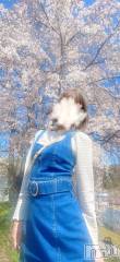 新潟デリヘルLOVE AFFAIR～秘密のデート(ラブアフェア～ヒミツノデート) 美雪さん【♪♪♪】(35)の4月8日写メブログ「幸せな事続き…(*´>ω<`*)ஐ♡🍀~ஐ」