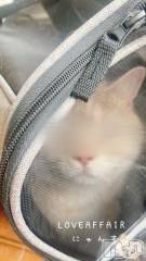 新潟デリヘルLOVE AFFAIR～秘密のデート(ラブアフェア～ヒミツノデート) 美雪さん【♪♪♪】(35)の6月12日写メブログ「今日は朝イチで・・」