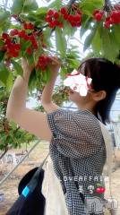 新潟人妻デリヘルLOVE AFFAIR～秘密のデート(ラブアフェア～ヒミツノデート) 美雪さん【♪♪♪】(35)の6月19日写メブログ「さくらんぼ～🍒🍒💗」