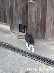 新潟デリヘルLOVE AFFAIR～秘密のデート(ラブアフェア～ヒミツノデート) 美雪さん【♪♪♪】(35)の10月22日写メブログ「久しぶりに普通に温泉もいいね♨️☺️♨️」