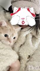 新潟デリヘルLOVE AFFAIR～秘密のデート(ラブアフェア～ヒミツノデート) 美雪さん【♪♪♪】(35)の12月29日写メブログ「ご心配してる方も多いので…ฅ^•ω•^ฅ」