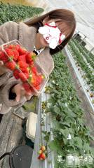 新潟デリヘルLOVE AFFAIR～秘密のデート(ラブアフェア～ヒミツノデート) 美雪さん【♪♪♪】(35)の3月10日写メブログ「苺の摘み取り🍓🍓🍓💕」