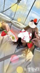 新潟人妻デリヘルLOVE AFFAIR～秘密のデート(ラブアフェア～ヒミツノデート) 美雪さん【♪♪♪】(35)の4月10日写メブログ「3月22日🍓苺狩りデート🍓🐄」