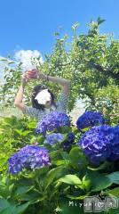 新潟デリヘルLOVE AFFAIR～秘密のデート(ラブアフェア～ヒミツノデート) 美雪さん【♪♪♪】(35)の6月24日写メブログ「行きつけのあの場所に今日も行ってきた🤭」