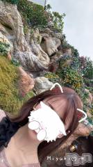 新潟デリヘルLOVE AFFAIR～秘密のデート(ラブアフェア～ヒミツノデート) 美雪さん【♪♪♪】(35)の7月2日写メブログ「気が付いたら7月＼！(°□°)！／」