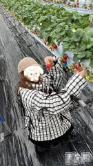 新潟デリヘルLOVE AFFAIR～秘密のデート(ラブアフェア～ヒミツノデート) 美雪さん【♪♪♪】(35)の3月3日写メブログ「2月はリピさまと苺狩りデート行きました🥰🍓🍓」