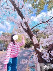 新潟デリヘルLOVE AFFAIR～秘密のデート(ラブアフェア～ヒミツノデート) 美雪さん【♪♪♪】(35)の4月13日写メブログ「なるせちゃんෆ˚*」