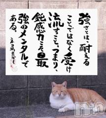 新潟デリヘルLOVE AFFAIR～秘密のデート(ラブアフェア～ヒミツノデート) 美雪さん【♪♪♪】(35)の12月13日写メブログ「お礼ブログの途中ですが…」