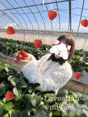 新潟デリヘルLOVE AFFAIR～秘密のデート(ラブアフェア～ヒミツノデート) 美雪さん【♪♪♪】(35)の2月25日写メブログ「２０２６年春の苺狩りデート👫💓🍓」