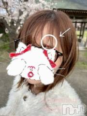 新潟デリヘルLOVE AFFAIR～秘密のデート(ラブアフェア～ヒミツノデート) 美雪さん【♪♪♪】(35)の4月10日写メブログ「4月の出勤カレンダー今日の夜くらいに…🌸」