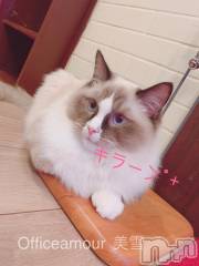 新潟デリヘルLOVE AFFAIR～秘密のデート(ラブアフェア～ヒミツノデート) 美雪さん【♪♪♪】(35)の1月14日写メブログ「決意ε٩(°Д°)۶з」