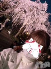 新潟デリヘルLOVE AFFAIR～秘密のデート(ラブアフェア～ヒミツノデート) 美雪さん【♪♪♪】(35)の4月9日写メブログ「高田の桜。破。」