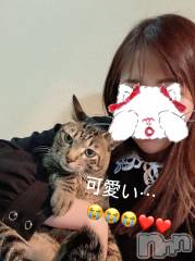 新潟人妻デリヘルLOVE AFFAIR～秘密のデート(ラブアフェア～ヒミツノデート) 美雪さん【♪♪♪】(35)の3月6日写メブログ「ご予約満員ありがとうございます♡(﹡ˆˆ﹡)♡」