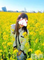 新潟デリヘルLOVE AFFAIR～秘密のデート(ラブアフェア～ヒミツノデート) 美雪さん【♪♪♪】(35)の4月18日写メブログ「断食3日目♡𓈒 𓏸𓈒𓂂𓂃♡」