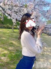 新潟デリヘルLOVE AFFAIR～秘密のデート(ラブアフェア～ヒミツノデート) 美雪さん【♪♪♪】(35)の4月28日写メブログ「激写！！！！！📸」