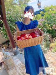 新潟デリヘルLOVE AFFAIR～秘密のデート(ラブアフェア～ヒミツノデート) 美雪さん【♪♪♪】(35)の6月24日写メブログ「コメントのお返事♡𓈒 𓏸𓈒𓂂𓂃♡」