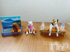 新潟デリヘルLOVE AFFAIR～秘密のデート(ラブアフェア～ヒミツノデート) 美雪さん【♪♪♪】(35)の10月12日写メブログ「ガチャリベンジ🧖‍♀️」