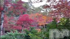 新潟デリヘルLOVE AFFAIR～秘密のデート(ラブアフェア～ヒミツノデート) 美雪さん【♪♪♪】(35)の11月14日動画「活気あるといいよね🥰」