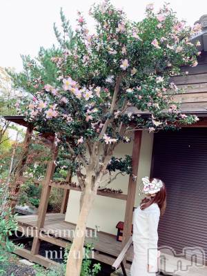 新潟デリヘル LOVE AFFAIR～秘密のデート(ラブアフェア～ヒミツノデート) 美雪さん【♪♪♪】(35)の11月6日写メブログ「ありがとうございましたヾ(o´▽`o)ﾉ ♡* . ゜」