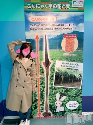 新潟デリヘル LOVE AFFAIR～秘密のデート(ラブアフェア～ヒミツノデート) 美雪さん【♪♪♪】(35)の3月22日写メブログ「予想外の晴れ(*ˊᵕˋ*)♡」