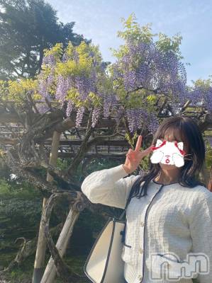 新潟人妻デリヘル LOVE AFFAIR～秘密のデート(ラブアフェア～ヒミツノデート) 美雪さん【♪♪♪】(35)の4月24日写メブログ「ただいまんぼりあ～～ん（∩⸝⸝> <⸝⸝∩）💓」