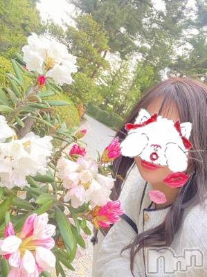 新潟人妻デリヘル LOVE AFFAIR～秘密のデート(ラブアフェア～ヒミツノデート) 美雪さん【♪♪♪】(35)の4月24日写メブログ「1600人♥️約束の…（・Y・）」