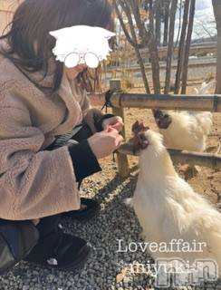 新潟デリヘル LOVE AFFAIR～秘密のデート(ラブアフェア～ヒミツノデート) 美雪さん【♪♪♪】(35)の3月11日写メブログ「定期的に来る思考回路の停止🌀今回早いかも😭」