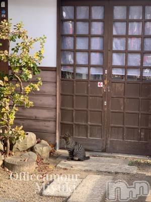 新潟デリヘル LOVE AFFAIR～秘密のデート(ラブアフェア～ヒミツノデート) 美雪さん【♪♪♪】(35)の12月26日写メブログ「にゃあちゃん♡」