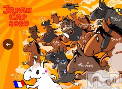 新潟デリヘル LOVE AFFAIR～秘密のデート(ラブアフェア～ヒミツノデート) 美雪さん【♪♪♪】(35)の11月29日写メブログ「よろしくお願いします(´｡✪ω✪｡ ` )*.+ﾟ」