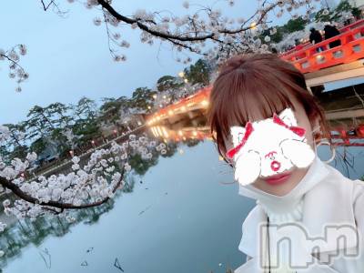 新潟デリヘル LOVE AFFAIR～秘密のデート(ラブアフェア～ヒミツノデート) 美雪さん【♪♪♪】(35)の4月3日写メブログ「そうなんだ…！！」