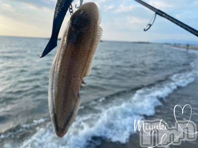 新潟デリヘル LOVE AFFAIR～秘密のデート(ラブアフェア～ヒミツノデート) 美雪さん【♪♪♪】(35)の7月25日写メブログ「可愛いᐠ( ᐛ )ᐟ」