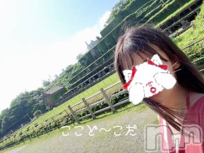 新潟人妻デリヘル LOVE AFFAIR～秘密のデート(ラブアフェア～ヒミツノデート) 美雪さん【♪♪♪】(35)の9月6日写メブログ「ありがとうございました( ˶ˆ꒳ˆ˵ )*.+ﾟ」