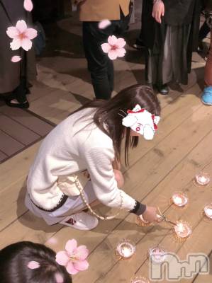 新潟人妻デリヘル LOVE AFFAIR～秘密のデート(ラブアフェア～ヒミツノデート) 美雪さん【♪♪♪】(35)の4月19日写メブログ「百八灯献燈祭♡𓈒 𓏸𓈒𓂂𓂃♡」