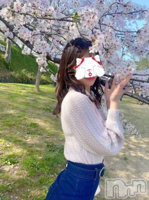 新潟デリヘル LOVE AFFAIR～秘密のデート(ラブアフェア～ヒミツノデート) 美雪さん【♪♪♪】(35)の4月28日写メブログ「激写！！！！！📸」