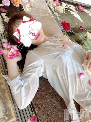 新潟デリヘル LOVE AFFAIR～秘密のデート(ラブアフェア～ヒミツノデート) 美雪さん【♪♪♪】(35)の6月19日写メブログ「本日も満員ありがとうございます( ˶ ᷇ 𖥦 ᷆ ˵ )♡*.+ﾟ」