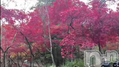 新潟デリヘル LOVE AFFAIR～秘密のデート(ラブアフェア～ヒミツノデート) 美雪さん【♪♪♪】(35)の11月14日動画「紅葉観てきたよ～🍁⠜🤗🦔🍁🍂🤎」