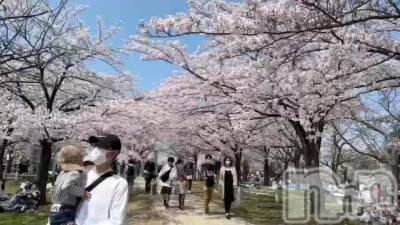 今日は白山公園でお花見&#x1F361;&#x2E1C;(  &#x951;&#xA4B3; &#x951; &#x1F361;&#x2E1C;)