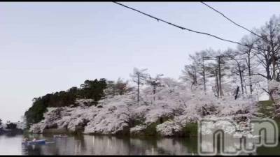 新潟人妻デリヘル LOVE AFFAIR～秘密のデート(ラブアフェア～ヒミツノデート) 美雪さん【♪♪♪】(35)の4月14日動画「儚い🌸🌸🌸🌸🌸🌸」