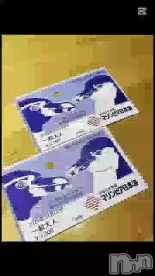 新潟デリヘル LOVE AFFAIR～秘密のデート(ラブアフェア～ヒミツノデート) 美雪さん【♪♪♪】(35)の2月3日動画「 最近のキニナルNEWS🐠🫧‪」