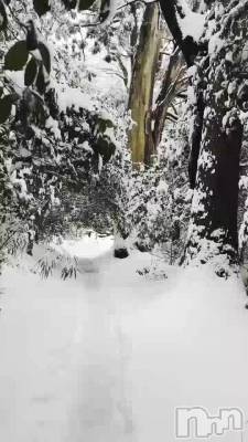 神秘的な・・・⛩🌲