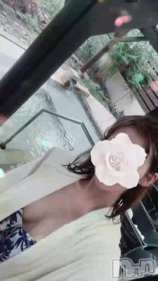 ブログやってるもんだなぁ🥰